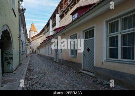 Stadtmauer-Fußweg in Tallinn, Estland Stockfoto