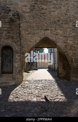 Der alte Bremen-Turm in Tallinn, Estland Stockfoto