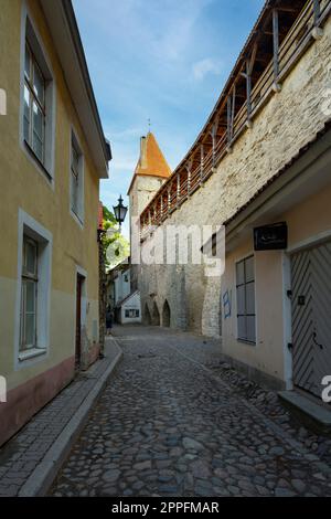 Stadtmauer-Fußweg in Tallinn, Estland Stockfoto