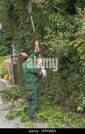 Eine Hecke schneiden Stockfoto