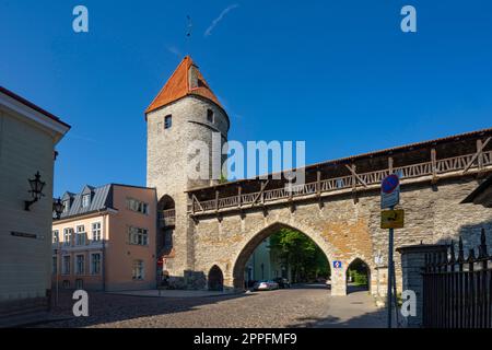 Nonnenturm und Stadtmauerplattform in Tallinn, Estland Stockfoto