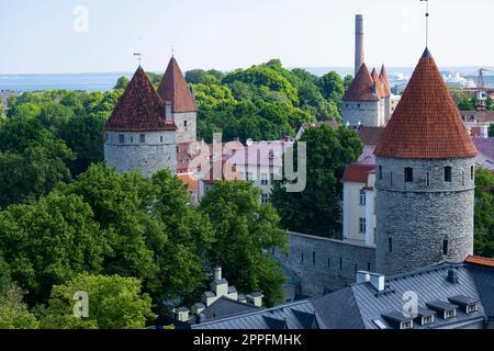 Panoramablick auf Tallinn, Estland Stockfoto