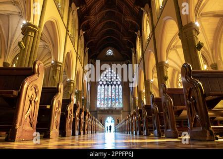 Innenraum mit Bänken, großen Buntglasfenstern und Eingang zur Kathedrale St. Patrick's Cathedral in Melbourne Stockfoto