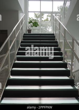 Treppe im Schulinneren. Neue, moderne Schule. Trittstufen und Handläufe. Sonnenschein aus einem großen Fenster. Monstera in einem Topf auf der Landung. Modernes Büro- oder Institution-Design Stockfoto