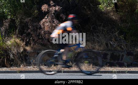 Einsamer, verschwommener Fahrradfahrer, der Hemd und Helm trägt, sprengt auf einer Asphaltstraße mit einer Kulisse aus Büschen und Laub Stockfoto