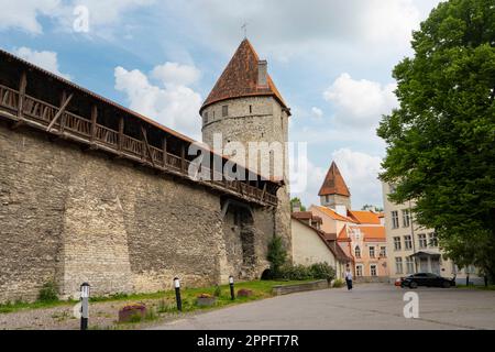 Tallinn, Estland. Juli 2022. Stockfoto