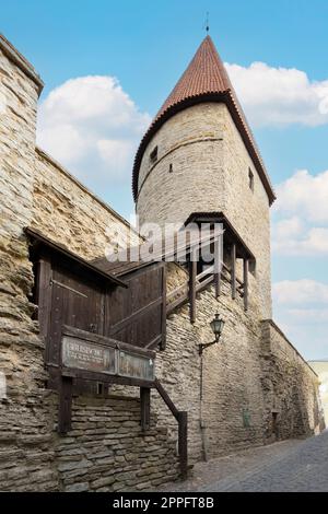 Tallinn, Estland. Juli 2022. Stockfoto