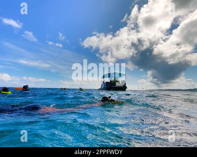 Die Leute beim Schnorcheln unter Wasser und Angeln Tour mit dem Boot an der Karibik in St. Thomas Stockfoto