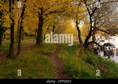 Farbenfrohe Bäume mit Wanderwegen in der Herbstlandschaft in tiefen Wäldern. Die Herbstfarben im Wald bieten eine herrliche Aussicht. Herbstblick in der Natur. Stockfoto
