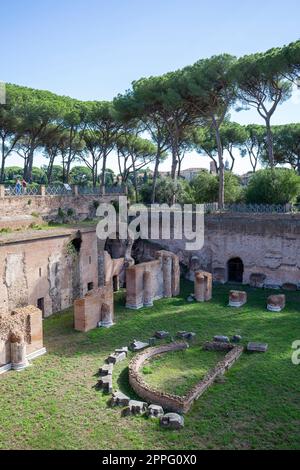 Palatin-Hügel, Blick auf die Ruinen mehrerer wichtiger antiker Gebäude, Hippodrom von Domitian, Rom, Italien Stockfoto
