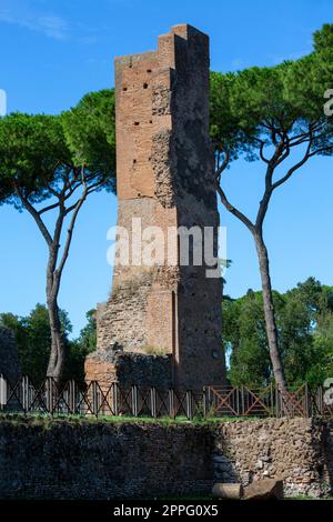 Palatin-Hügel, Blick auf die Ruinen mehrerer wichtiger antiker Gebäude, Rom, Italien Stockfoto