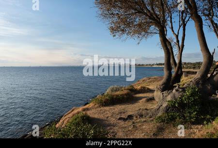 Skyline an der Hobson Bay und CBD (zentrales Geschäftsviertel) von Melbourne, fotografiert von Brighton, einem Vorort in Melbourne Stockfoto