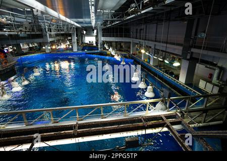 Oben auf dem Wassertank im Aquarium Stockfoto