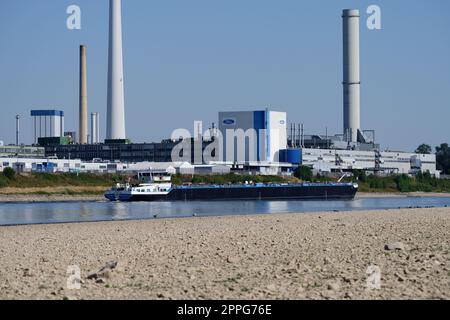 Köln, Deutschland 11. August 2022: Die Ford Motor Company in köln bei niedrigem Wasserstand am rhein Stockfoto