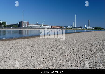 Köln, Deutschland 11. August 2022: Die Ford Motor Company in köln bei niedrigem Wasserstand am rhein Stockfoto