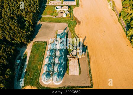 Luftaufnahme modernes Granariat, Getreidetrocknung, kommerzielle Getreide- oder Saatsilos in sonniger Frühlingslandschaft. Silos für Maistrockner, Inland Grain Terminal, Kornelevator auf einem Feld Stockfoto