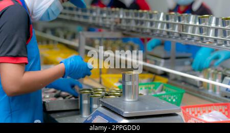 Arbeiter in der Konservenfabrik. Lebensmittelindustrie. Fischkonservenfabrik. Arbeiter, die Sardinen in Dosen auf einer Waage wiegen. Arbeiter in der Produktionslinie der Lebensmittelverarbeitung. Lebensmittelindustrie. Stockfoto