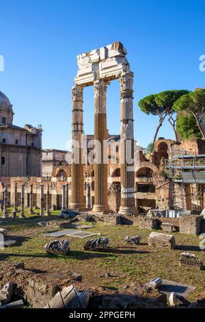 Forum of Caesar (Foro di Cesare), Teil des Forum Romanum, Ansicht der Ruinen des Tempels der Venus Genetrix, Rom, Italien Stockfoto