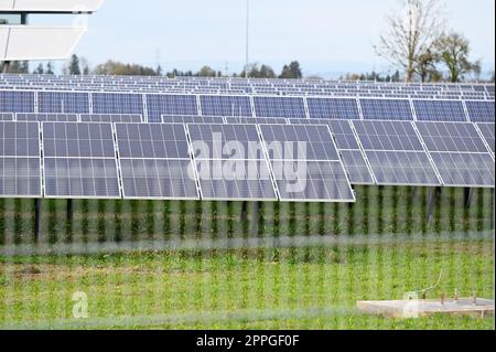 Photovoltaik-Kraftwerk in Oberösterreich Stockfoto