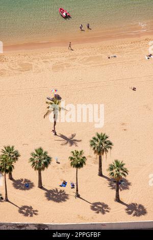 Teresitas Strand, Playa de las Teresitas, Luftaufnahme nahe Santa Cruz an der Nordküste von Teneriffa, Kanarische Inseln, Spanien Stockfoto