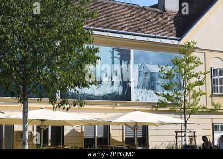 La Gacilly-Baden Fotofestival in Baden bei Wien, Niederösterreich Stockfoto