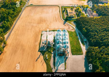 Luftaufnahme modernes Granariat, Getreidetrocknung, kommerzielle Getreide- oder Saatsilos in sonniger Frühlingslandschaft. Silos für Maistrockner, Inland Grain Terminal, Kornelevator auf einem Feld Stockfoto