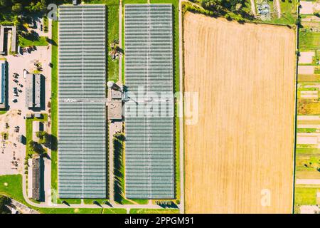 Luftaufnahme Gewächshäuser Für Den Anbau Von Blumen, Gemüse Und Obst. Landwirtschaftliche Und Industrielle Gebäude Stockfoto