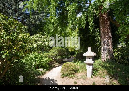 Steinlampe in einem japanischen Garten Stockfoto