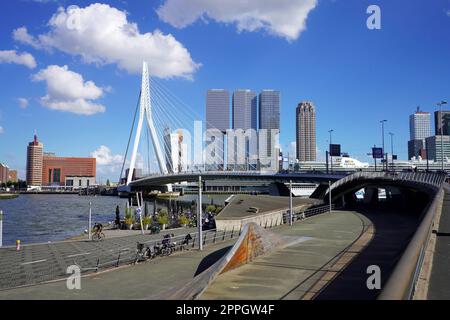 ROTTERDAM, NIEDERLANDE - 9. JUNI 2022: Skyline von Rotterdam mit Erasmusbrug-Brücke und Wolkenkratzern, Niederlande Stockfoto