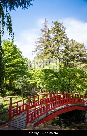 Traditionelle rote Holzbrücke auf einem japanischen Gartenteich Stockfoto