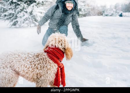 Schneeballschlacht Spaß mit Haustier und seinem Besitzer im Schnee. Emotionen im Winterurlaub. Niedliche Pfütze Hund und Mann spielen und laufen im Wald. Filmfilterbild. Stockfoto