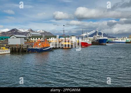 Hafen von Hofn, Island Stockfoto