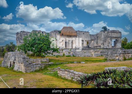 Großer Palast 25, Maya-Ruinen in Tulum, Riviera Maya, Yucatan, Karibik, Mexiko Stockfoto