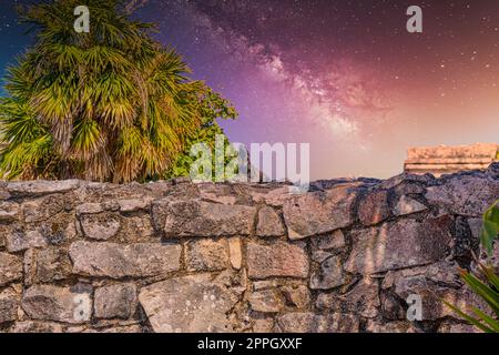 Grauer Leguan auf der Steinwand der Maya-Ruinen der Burg in Tulum, Riviera Maya, Yucatan, Karibik, Mexiko mit dem Nachthimmel der Milchstraße-Galaxie Stockfoto