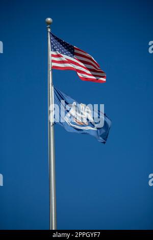 American Flags und Louisiana Flags Stockfoto