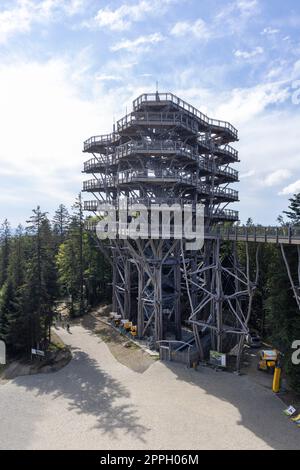 Der Aussichtsturm befindet sich auf dem Gipfel des Skibahnhofs så‚otwiny Arena, der in die Baumwipfel führt, Krynica Zdroj, Beskid Mountains, Slotwiny, Polen Stockfoto