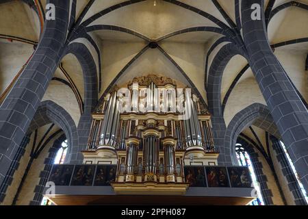 Innenansicht der evangelischen St. Blasius Kirche - Orgelprospekt Stockfoto