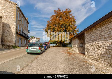 Architektonische Details typischer Häuser in Monflanquin, Frankreich Stockfoto