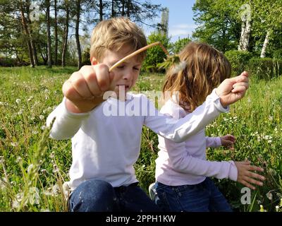 Junge und Mädchen auf dem Rasen. Süße Kinder pflücken Wiesenblumen und blasen auf Löwenkerne Stockfoto