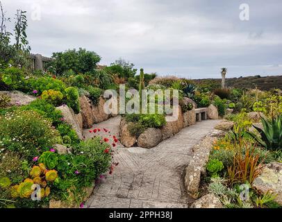 Minack Gardens - Minack Theatre, Porthcurno, Penzance, Cornwall, Großbritannien Stockfoto