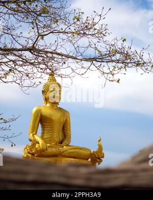 Goldene Statue eines sitzenden Buddha, durch zwei Naga Schlangen in Thailand flankiert. Stockfoto