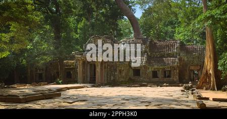 Vorhof der Tempelruinen von Ta Prohm, die sich im Komplex Angkor Wat in der Nähe von Siem Reap, Kambodscha, befinden. Stockfoto