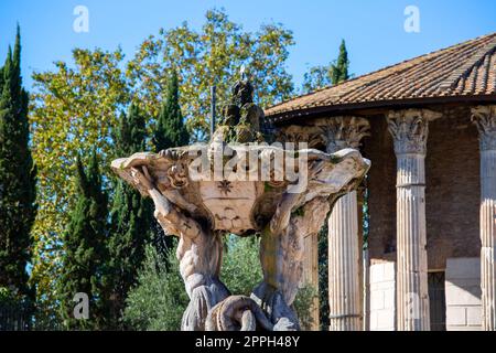 Tritonbrunnen vor dem Tempel des Herkules Victor auf dem Platz der Mündung der Wahrheit, Rom, Italien Stockfoto