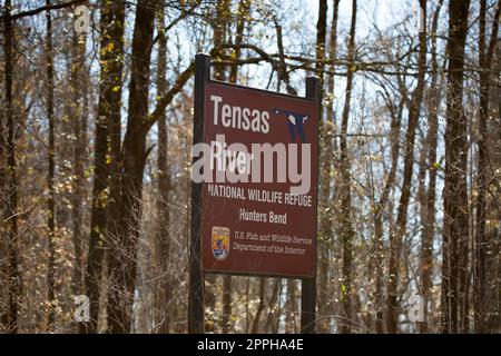 Hunter's Bend im Tensas River National Wildlife Refuge Stockfoto