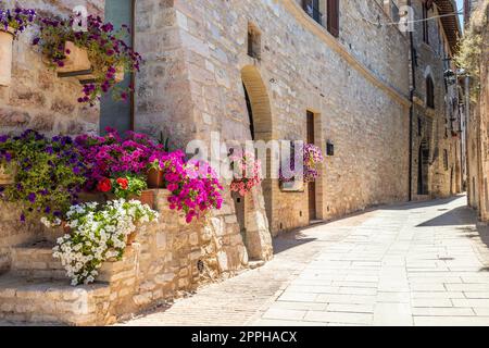Assisi-Dorf in Umbrien, Italien. Die Stadt ist berühmt für die wichtigste italienische Basilika, die dem St. Francis - San Francesco. Stockfoto