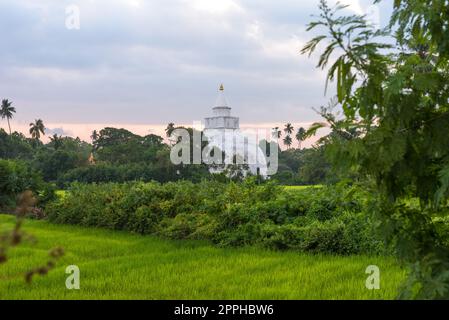 Die Yatala Wehera Stupa in Tissamaharama in Sri Lanka Stockfoto