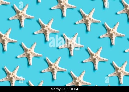 Sommermuster mit weißem Seestern auf hellblauem Hintergrund. Minimalistisches, trendiges Sommerkonzept. Stockfoto