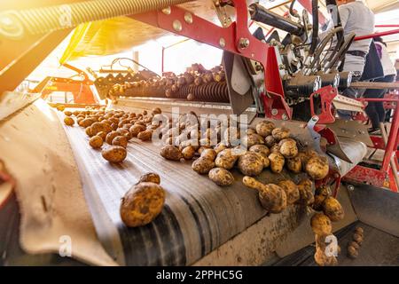 Automatisiertes Konzept der Agrarindustrie Stockfoto