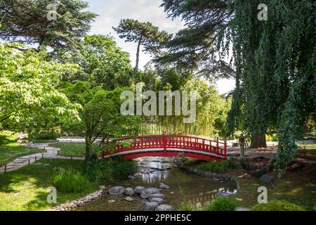 Traditionelle rote Holzbrücke auf einem japanischen Gartenteich Stockfoto