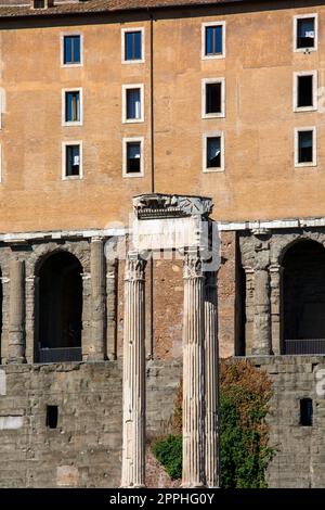 Forum Romanum, Blick auf die Ruinen mehrerer wichtiger antiker Gebäude, Tempel des Vespasian und Titus, Rom, Italien Stockfoto